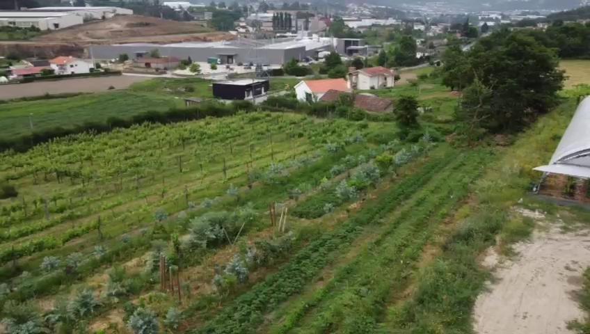 Quinta Do Pinheiro Villa Guimarães Esterno foto